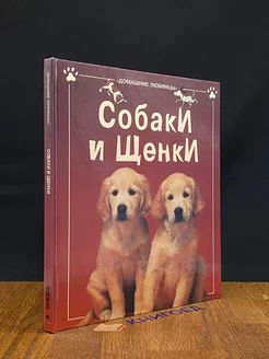 Собаки и щенки