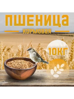 Пшеница кормовая фуражная 10 кг