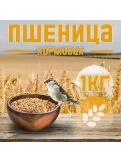 Пшеница кормовая фуражная 1 кг