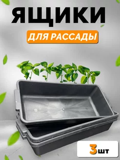 Пластиковые ящики для рассады 3 шт