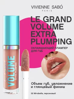 Плампер для губ Le Grand Volume Extra Plumping, тон 02, 3мл