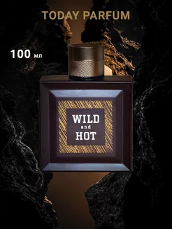 Туалетная вода мужская Wild And Hot 100 мл