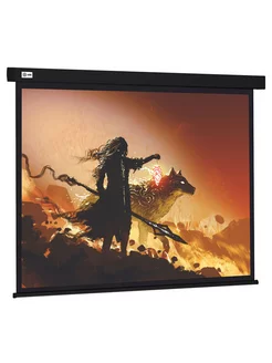 Экран для проектора Wallscreen CS-PSW-149X265-BK