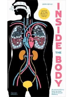 Inside the body