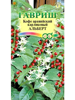 Семена Кофе карликовый комнатный