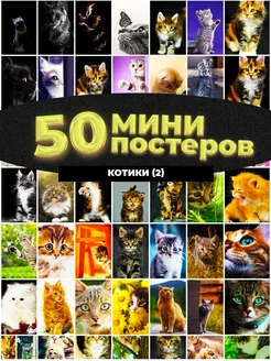 Мини постеры котики 50 штук карточек