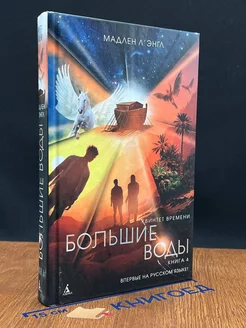 Квинтет времени. Книга 4. Большие воды