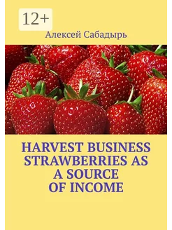 Harvest Business Strawberries as a Source of Income