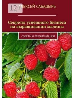 Секреты успешного бизнеса на выращивании малины