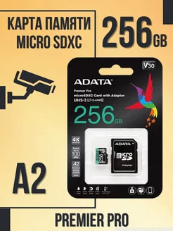 Карта памяти 256 Гб microSDXC Premier Pro