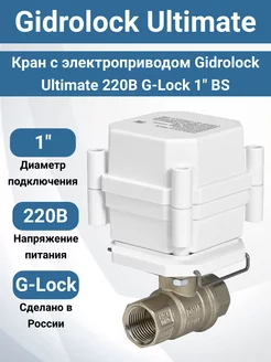 Кран с электроприводом Ultimate 220В G-Lock 1" BS