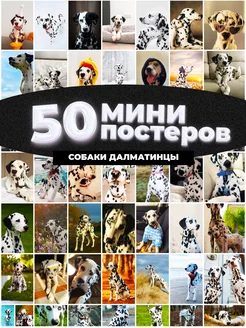 Мини постеры долматинцы 50 штук карточек