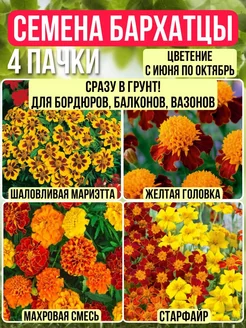 Семена Бархатцы 4 шт