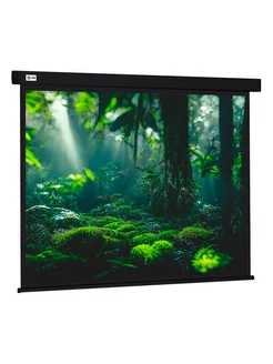 Экран для проектора Wallscreen CS-PSW-213X213-BK