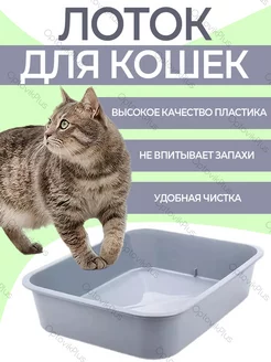 Лоток для кошек с бортами