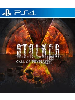 Игра STALKER Call of Prypiat PS4 PS5