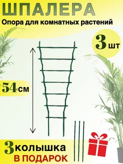 шпалера для комнатных растений