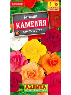 Семена бегония Камелия махровая