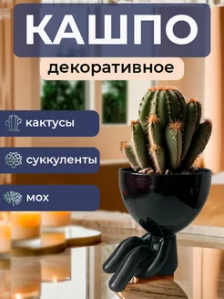 Кашпо декоративное для суккулентов