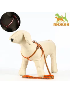 Комплект "Косточки", ошейник 120 х 1 см