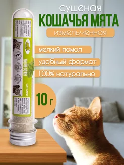 Кошачья мята