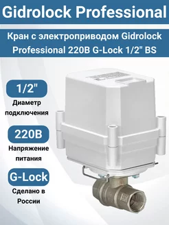 Кран с электроприводом Professional 220В G-Lock 1 2" BS