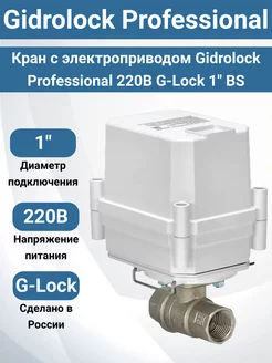 Кран с электроприводом Professional 220В G-Lock 1" BS