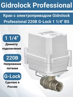 Кран с электроприводом Professional 220В G-Lock 1 1 4" BS