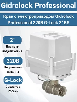 Кран с электроприводом Professional 220В G-Lock 2" BS