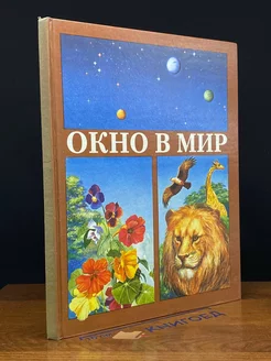 Окно в мир