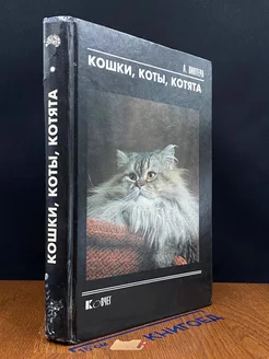 Кошки, коты, котята