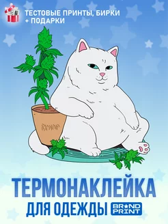 Термонаклейка на футболку RipnDip