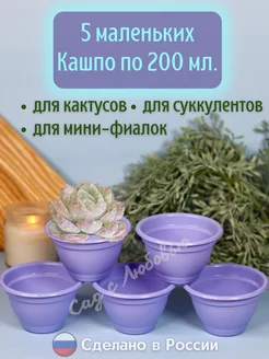 Маленькие горшки для суккулентов, кактусов и фиалок