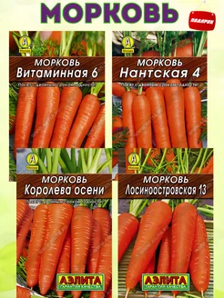 Семена моркови