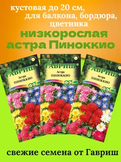 Семена астры Пиноккио низкорослой кустовой 3 пакета