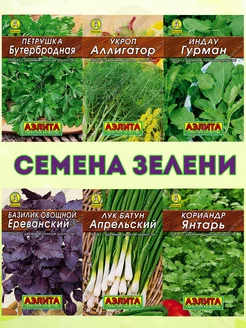 Семена зелени