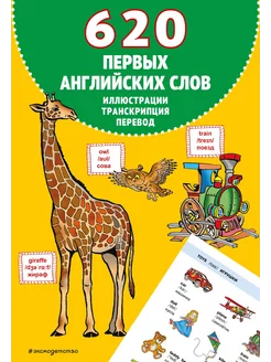 620 первых английских слов в иллюстрациях