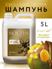 Шампунь для для всех типов волос Vetiver & Lemon 5л бренд SOLTIS продавец 