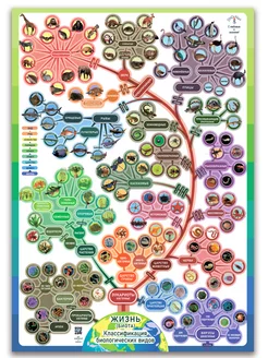 Классификация всех живых видов в биологии