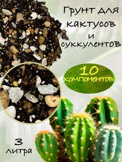 Грунт для кактусов и суккулентов