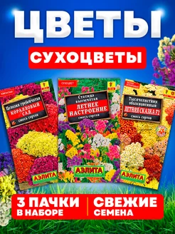 Семена цветов сухоцветы статица