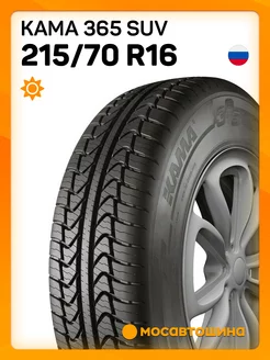 шины летние 215 70 R16 100T