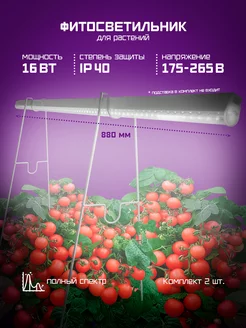 Фитолампа для растений полный спектр 16 Вт, 2 шт