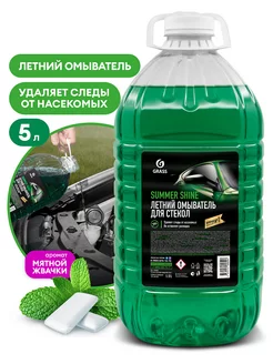 Стеклоомывающая жидкость Summer Shine 5 л